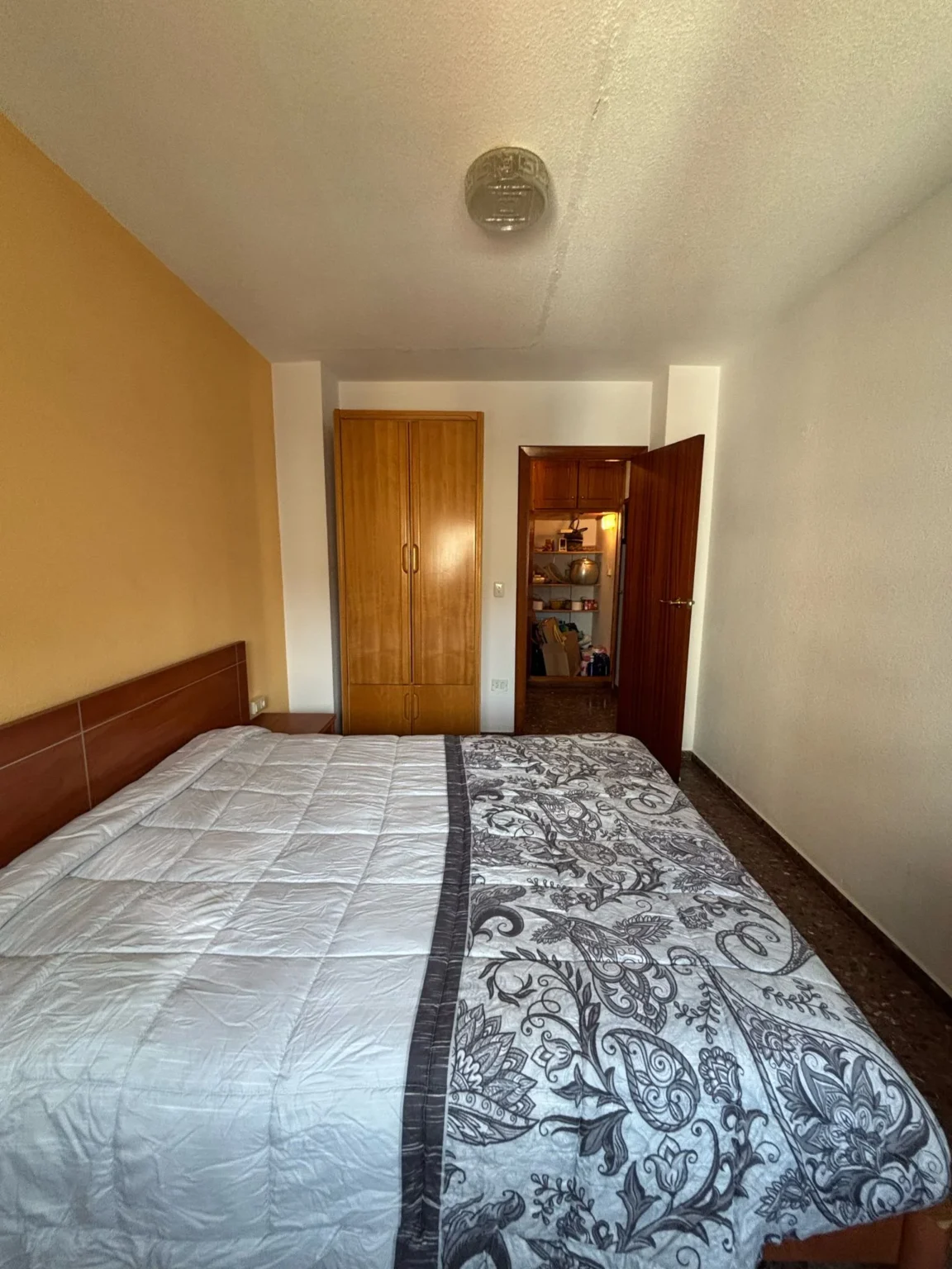 WhatsApp-Image-2025-02-19-at-10.12.37-2-1